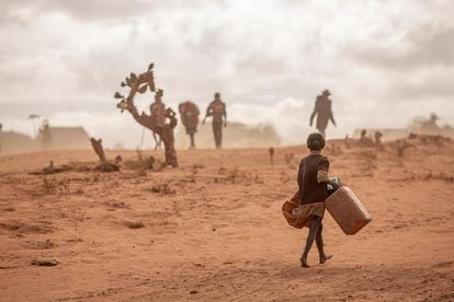 Medio millón de niños de menos de cinco años están en riesgo de sufrir desnutrición severa en Madagascar, un país azotado por cuatro años consecutivos de sequía y hoy amenazado por una hambruna. En la foto, una niña yendo a buscar agua en el sur de Madagascar.