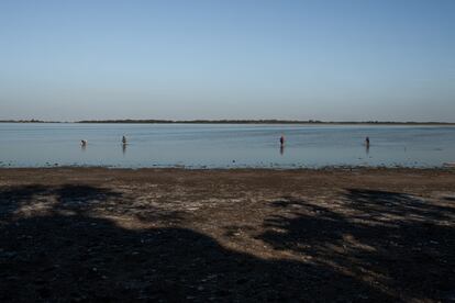 Rastreadores buscando metales en la Laguna de Lobos.