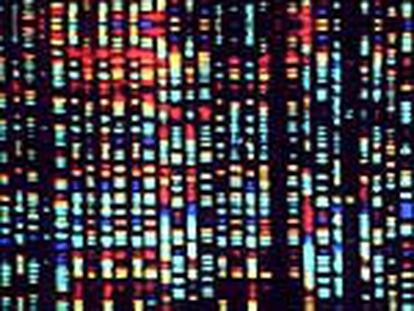Imagen por ordenador de las claves del genoma humano expuesto en la muesta &#39;La revolución genómica&#39;.