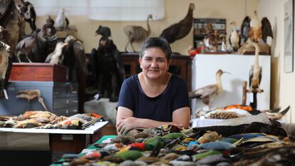 Letty Salinas, bióloga y jefa del Departamento de Ornitología del museo peruano, posa con parte de la colección de aves.