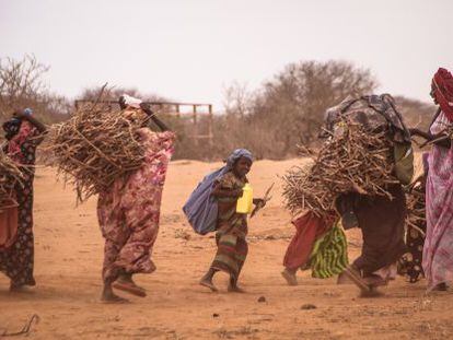 Unas mujeres transportan leña en el campo de refugiados de Dadaab (Kenia) en septiembre de 2011.