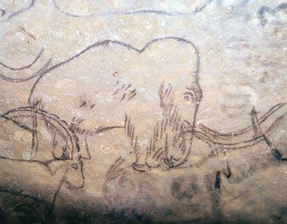 Pintura de un mamut en la cueva de Rouffignac (Francia). 