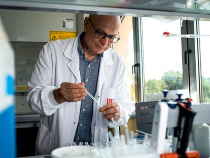 Massimo Castellari, investigador del Instituto de Investigación y Tecnología Agroalimentaria (IRTA) de Monells (Girona) y experto en nuevas proteínas, este miércoles en el laboratorio de análisis cromatográfico del centro.