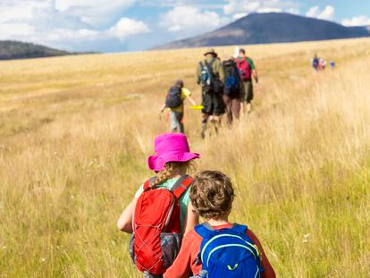 Extra colegios 06-03-22 Caucasian children walking in grassy field in remote landscape