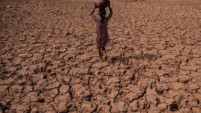 Campesina en tierra de sequía en Charam, Uttar Pradesh, India.