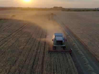 Europa va a pasar de locomotora a furgón de cola si se dedica a poner palos a las ruedas a la investigación en agricultura.