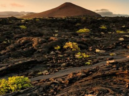 La isla está plagada de coladas de lava reciente.