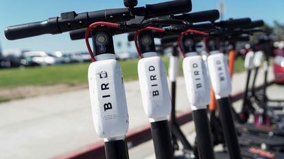Patinetes eléctricos de la compañía Bird aparcados en San Diego, California, Estados Unidos.