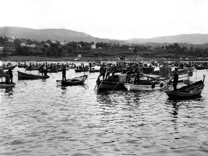 Mariscadores en la playa de Cesantes en la localidad de Redondela, tras el levantamiento de la veda de la almeja, berberecho y ostra.