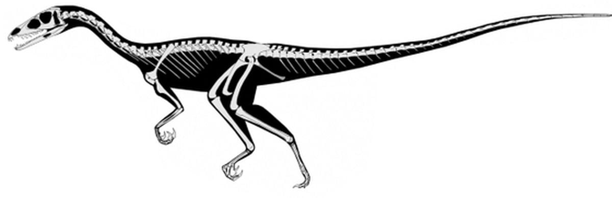 Todos los dinosaurios se originaron en América del Sur, indican unos nuevos  fósiles | Sociedad | EL PAÍS