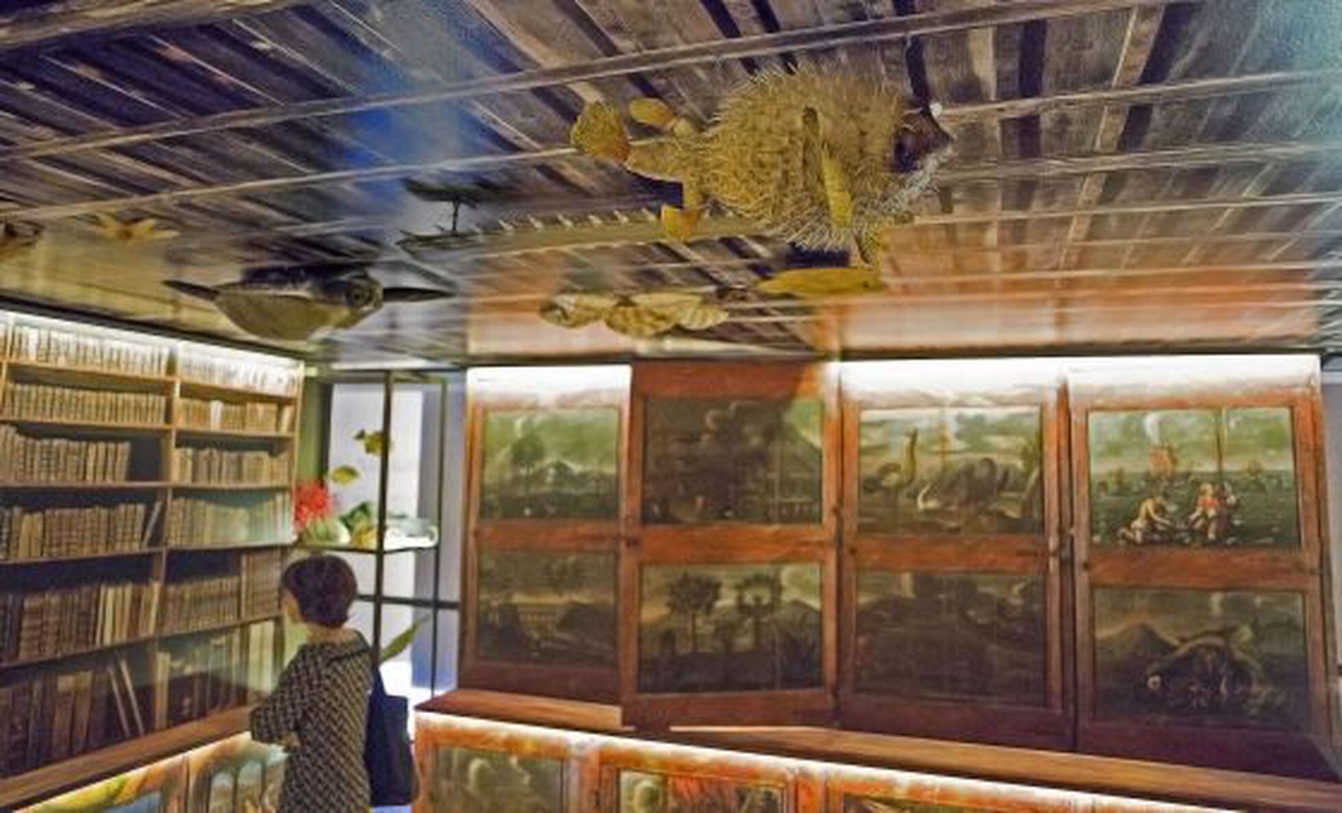 El gabinete de curiosidades de los Salvador vuelve a mostrar sus