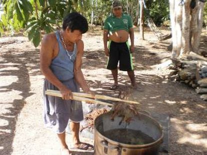 Un chamán prepara ayahusca en la Amazonia ecuatoriana.