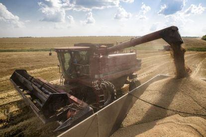 La UE quería imponer cuotas a los productos agrícolas de Ucrania, como esta explotación en Nikolaev.