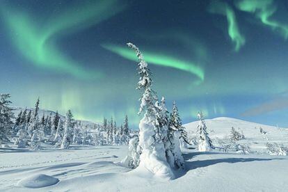 Una aurora boreal en Levi, en la región finlandesa de Laponia.