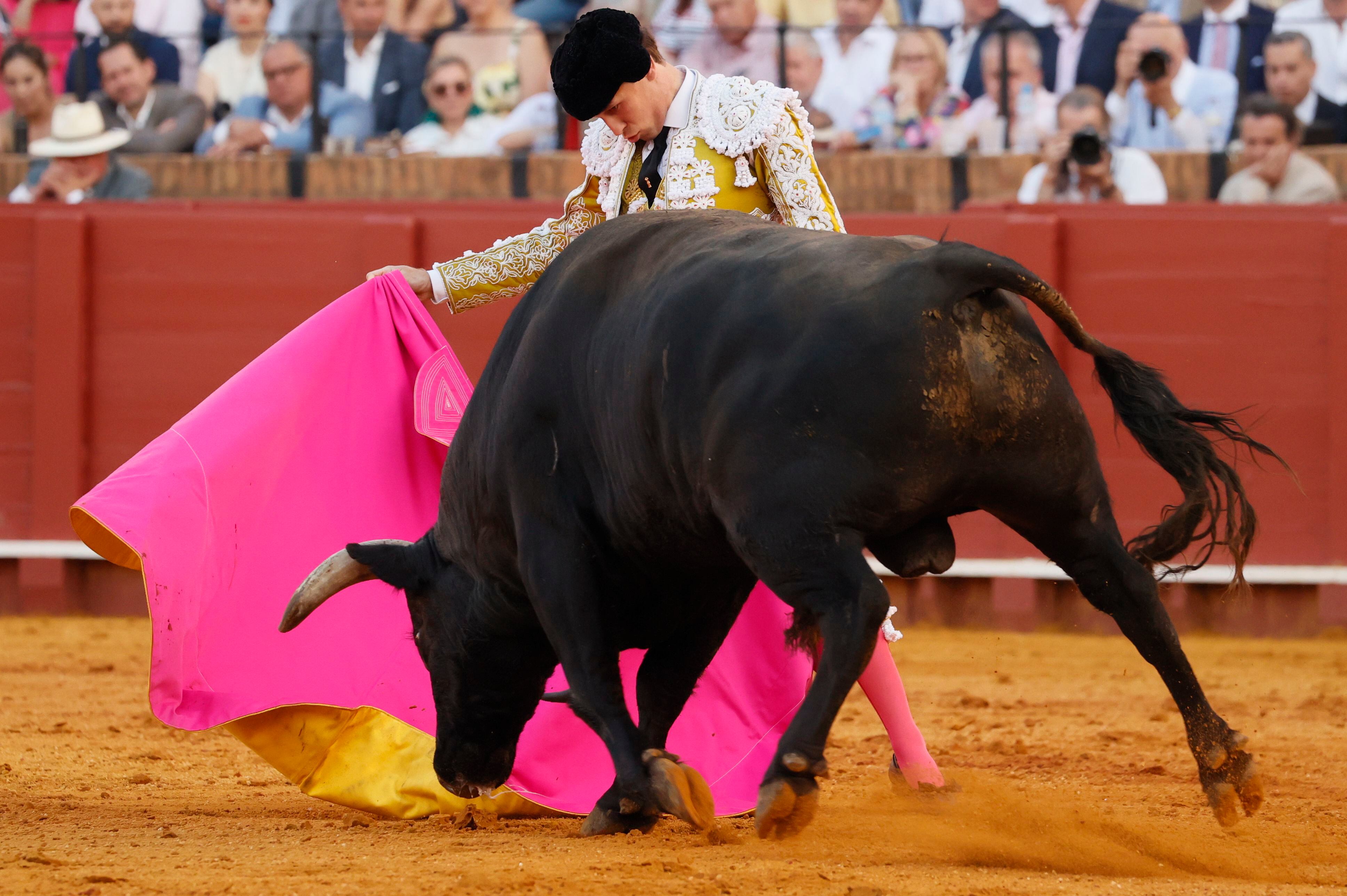 Ginés Marín, a la verónica ante el sexto toro de la corrida.