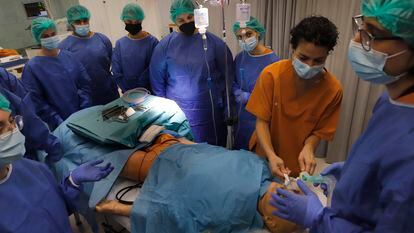 Alumnos de Medicina participan en una clase de práctica en la Universitat Internacional de Catalunya, el pasado año.