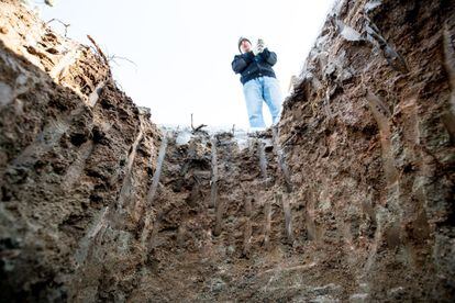 Un momento de la excavación realizada por alumos de la ETSAM para su stand de Arco.