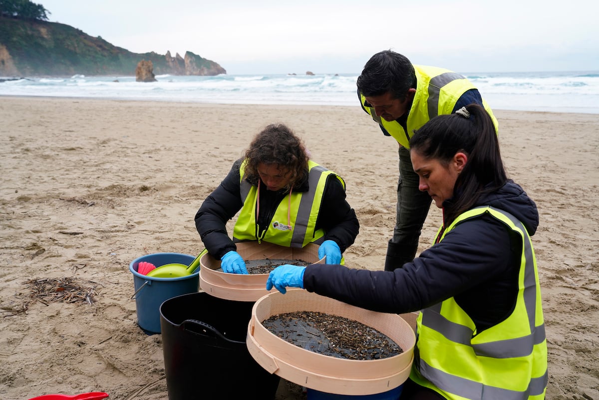 El Gobierno colabora ya con Asturias en la limpieza de ‘pellets’ en sus playas y Galicia sigue sin pedir ayuda concreta | Clima y Medio Ambiente