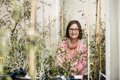 Carmen Martínez, bióloga y directora de la Misión Biológica de Galicia del CSIC.