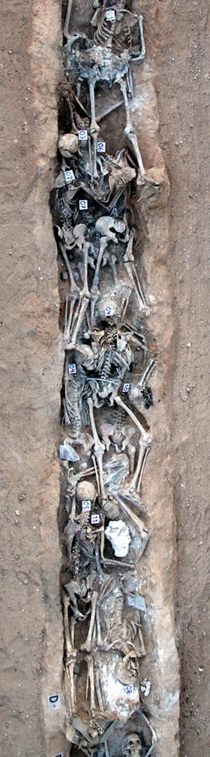 Fosa de Gumiel de Izán, de más de 30 metros, en la que se han hallado 59 esqueletos.
