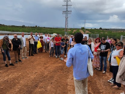 Medio centenar de personas sistieron, el pasado tres de junio, a la inauguración del parque fotovoltaico de Fuente Álamo (Murcia), donde se ubican los paneles para su autoconsumo remoto.