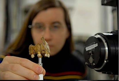 Una investigadora sostiene una mandíbula infantil de neandertal ante la máquina el equipo de sincrotrón que permite obtener imágenes tridimensionales del fósil