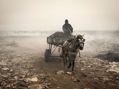 Dos meses de vida entre basura en la costa de Bargny