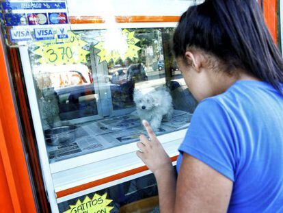 Venta de animales vivos en tiendas