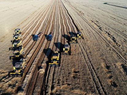 Cosechadoras durante la siega del trigo en la provincia turca de Sanlirufa. En vídeo, la ONU alerta de que la humanidad debe cambiar su dieta para combatir la crisis climática.