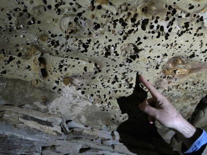 El investigador Fernando Muñiz señala una de las piedras modificadas por fauna marina y utilizada de forma intencionada para cubrir el pasillo del 'tholos' de La Pastora. El efecto recuerda un cielo estrellado.