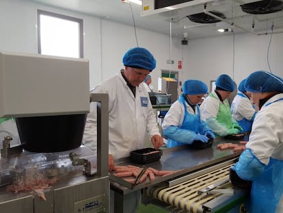 Trabajadores de la empresa Heck Sausages en su fábrica de Kirklington, North Yorkshire.