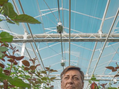 Luis Corella se ha convertido en uno de los mayores productores de flores de alta gama. De sus invernaderos, en Soria, salen 100.000 ejemplares al día.