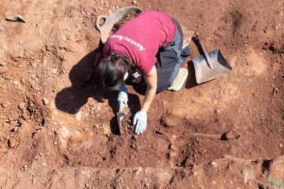 Imagen de los trabajos de la fosa común de Moncòfar que excava la Asociación para la Recerca de la Memoría Histórica.