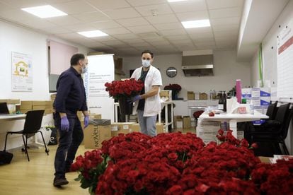 El repartiment de roses al Clínic ha començat de bon matí.