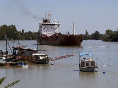 El r&iacute;o Guadalquivir, a su paso por Coria del R&iacute;o (Sevilla). 