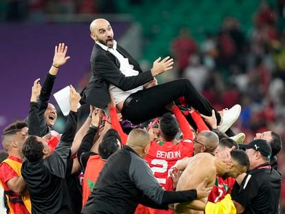 Walid Regragui es lanzado al aire por los jugadores de la selección de Marruecos después de ganar a Portugal en cuartos de final, en el estadio Al Thumama el pasado sábado.