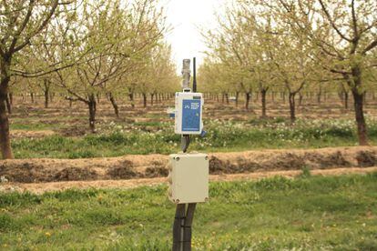 Uno de los sensores utilizados en la plantaci&oacute;n de Men&agrave;rguens (Lleida)
