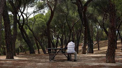 Un home d'esquena assegut en un parc de Madrid.