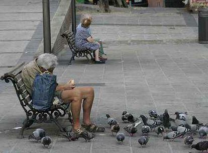 Un mayor sin hogar da de comer a las palomas en la plaza de Soledad Torres Acosta.