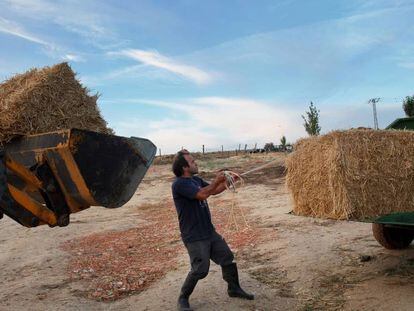 Un granjero manipula una paca de paja en Fuentespreadas (Zamora). 