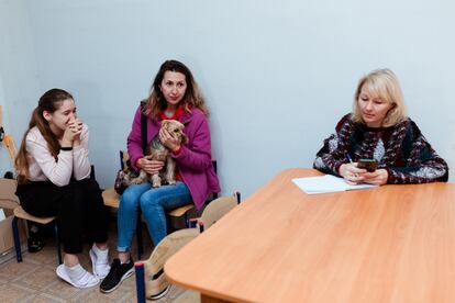 Tatiana Stivinoga, with a dog in her arms, at the Anenii Noi shelter, south of Chisinau, last Wednesday.