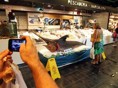 El pez espada de 400 kilos <i>posa</i> en el mercado de San Antón en Madrid.