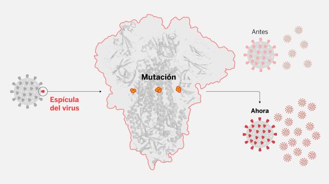 La enigmática mutación del coronavirus que ahora domina el planeta