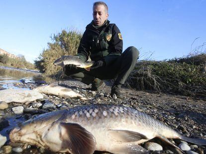 El vertido contaminante en el río Besòs provocó la muerte de peces.