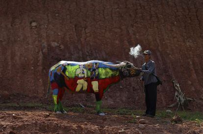 Un hombre fuma junto a su búfalo pintado momentos antes de una competición en el condado de Jiangcheng (China), el 18 de mayo de 2014.