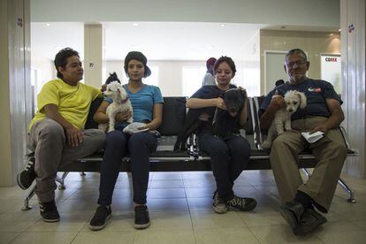 Un grupo de usuarios con sus mascotas esperan en la sala de espera.