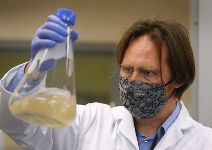 Un investigador de la compañía estadounidense Verndari, que trabaja en una vacuna para el coronavirus.