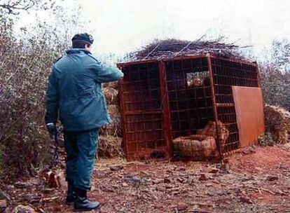 Un guardia civil señala la jaula con un león en la finca de Badajoz.