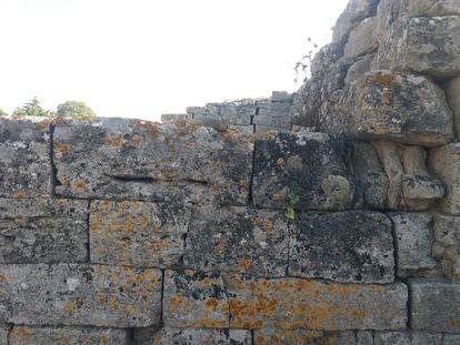 Una ardilla en las murallas de Troya.