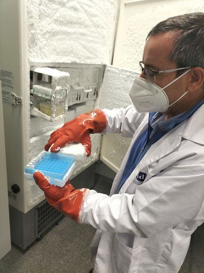 Antonio Salas revisa unas muestras conservadas en un congelador del IDIS.